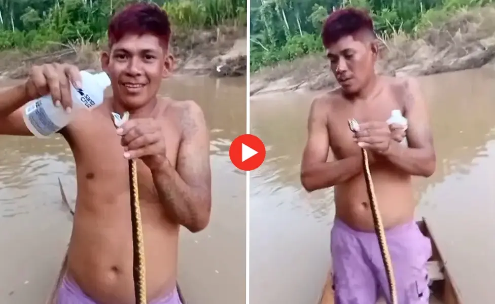 Vídeo mostra homem maltratando cobra em Marechal Thaumaturgo e causa indignação nas redes